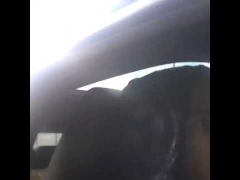 Petite dedicasse de zeffane