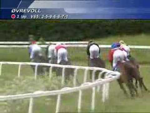 Ladies riders Fegentri Race