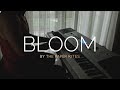 Bloom - The Paper Kites | Piano Cover