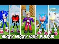 Huggy Wuggy Sonic Bulduk | Roblox Find The Sonic