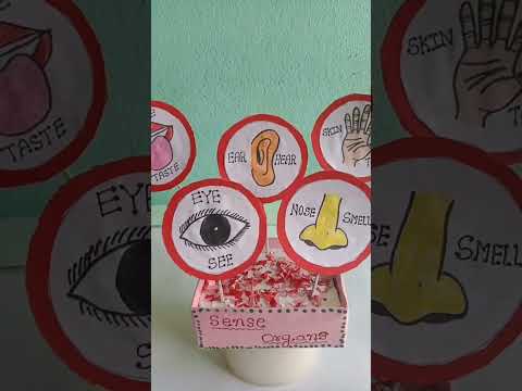 science project for lkg🥳🥳🥳👌👌👌👌