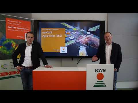 KWS Mais-Blog - Teil 31 (myKWS Agrarforen)