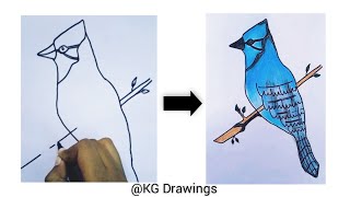 How to draw a Blue Jay bird !!🐦/ Easy and simple steps for kids 🤩✨/How to draw a bird step by step
