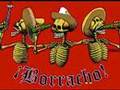 Infectious Grooves - Borracho 