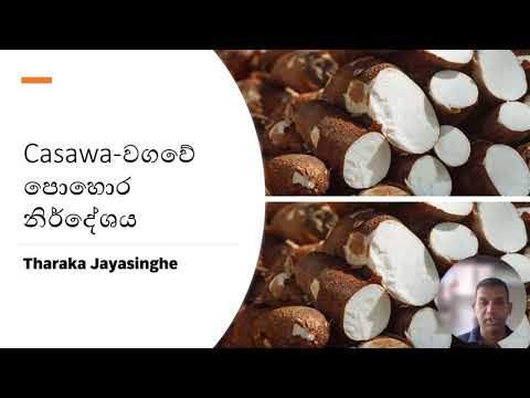 , title : 'මඤ්ඤොක්කා|cassawa වගවේ පොහොර | Fertilizer recommendation for Cassava | #cassava #fertilizer'
