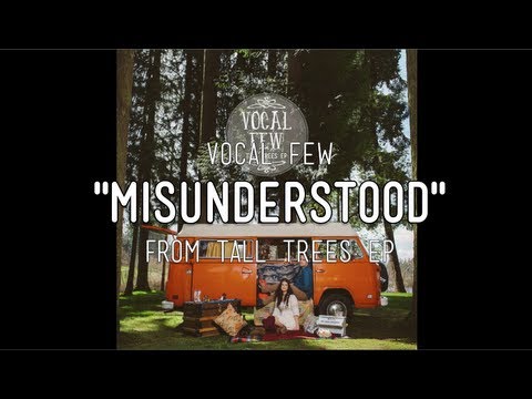 Misunderstood video