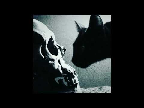 (FREE FOR PROFIT) Dark Ambient Lil Peep x ZillaKami Type Beat - BLACK CAT