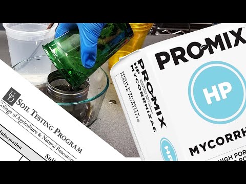 PRO-MIX HP Mycorrhizae Growing Mix - Soil Lab Test, Slurry & Review - PROMIX