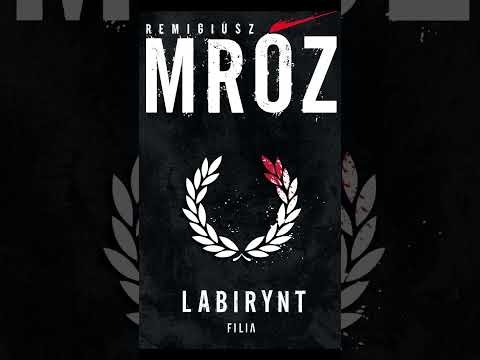 Labirynt By Remigiusz Mróz With Filip Kosior Thrillers po Polsku KSIĄŻKA