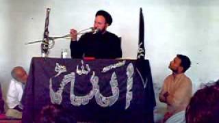 preview picture of video 'Alama Sayed Ali Hussain Madni  Mozo Velayaat  01.flv'