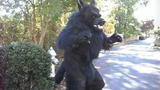 I'M HERE FOR YOUR DAUGHTERS