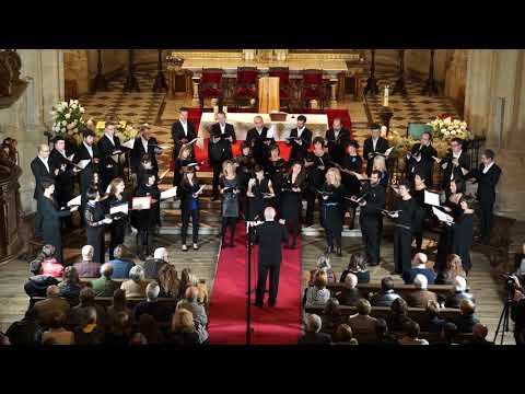 EZ NAU IZITZEN ELHURRAK, de Javier Busto