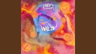 Wild (NDS Remix)