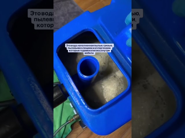 Что выходит из дивана во время химчистки