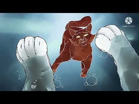 Warriors Cats - song ,,House Of Memories''.