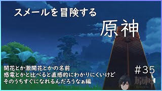 【原神】スメール練り歩く原神【勝負師の巨人】＃35