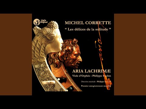 Les délices de la solitude, Op. 20, Sonata No. 2 in D Minor: Allegro