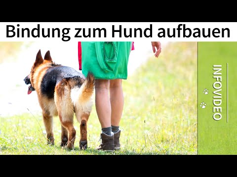 Building a bond with your dog ➡️ What you should definitely avoid when training your puppy! ✔️