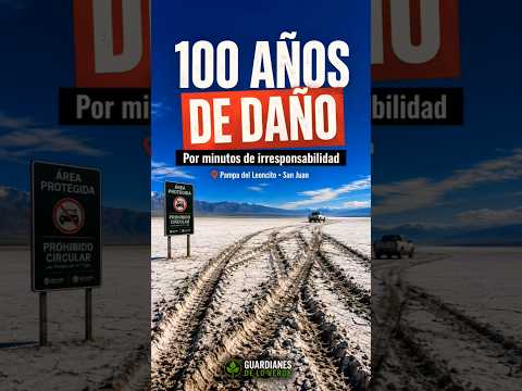 IRRESPONSABILIDAD Pampa del Leoncito #argentina #concienciaambiental