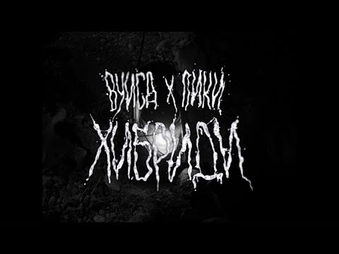 Piki - Hibridi ft. VuiSah (prod. by Bazhe DSC) [Official Video 2025]