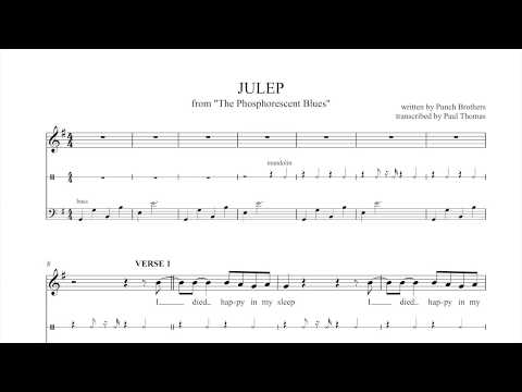 Julep - Punch Brothers
