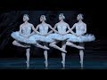 Swan Lake Dance Of The Cygnets The Royal Ballet