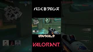 【valorant】パニくるブロンズ #shorts #valorant #おすすめ