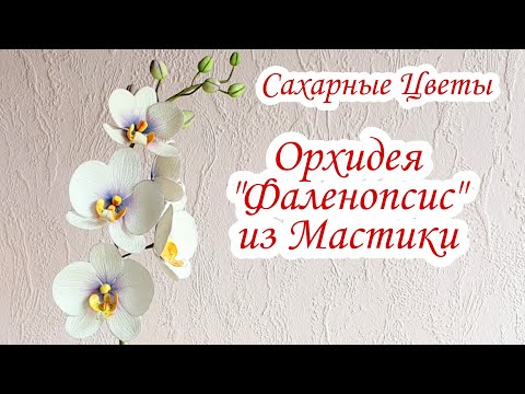 ⋗ Силиконовый вайнер Цветок 2 купить в Украине ➛ CakeShop.com.ua, відео