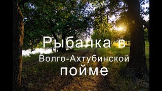 Зимняя рыбалка в волго ахтубинской поймы