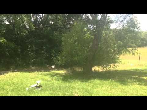 Blade 200X with SAFE technology