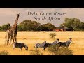 Camping In One Of The Best Camping Sites In South Africa Dube Game Resort