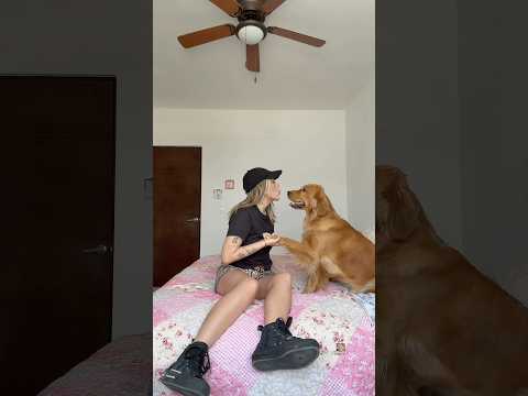 quien de mis perrhijos me devuelve el besito 💋🐶