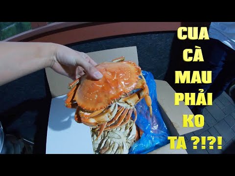 Chuyện Bên Lề 74: Heo Chơi Lớn Đãi Anh Em Ăn Cua