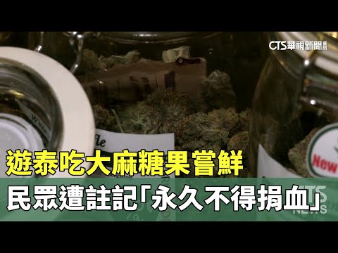 遊泰吃大麻糖果嘗鮮　民眾遭註記「永久不得捐血」