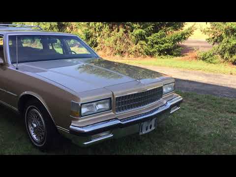 1987 Chevrolet Caprice (CC-1379428) for sale in Milford, Ohio