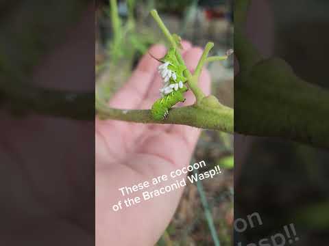 Nature CAN be Cruel!