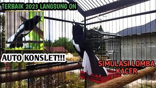 Download lagu SIMULASI LOMBA KACER | SUARA TERAPI MENTAL KACER | MELATIH MENTAL KACER ANDA | 100% JADI!!! mp3 Download lagu SIMULASI LOMBA KACER | SUARA TERAPI MENTAL KACER | MELATIH MENTAL KACER ANDA | 100% JADI!!! mp3