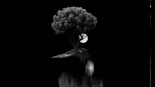 V A -  SLEEP  - Max Richter REMIXES  -