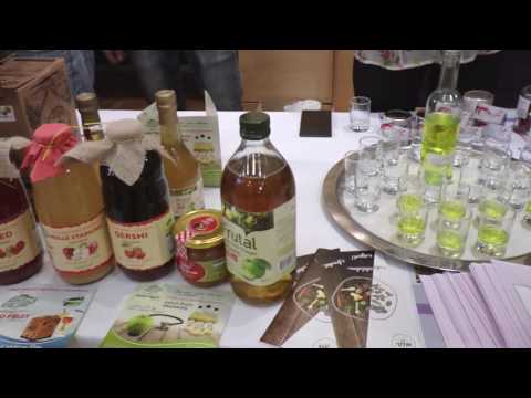 Report TV - "Kuzhina e Bregdeteve' sillet në Shqipëri nga Kompania Gourmeando