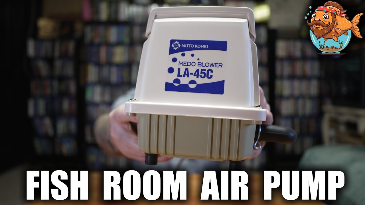 Fish room Air Pump! Nitto LA45-C Overview