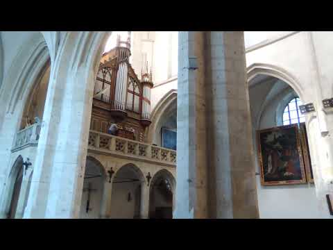Mesmerizing organ, Krakow, cathedral, Poland, 2018