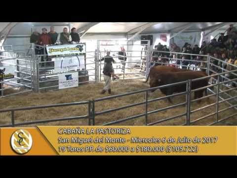 05-07-17 Venta de Toros PP - Cabaña La Pastoriza - San Miguel Del Monte