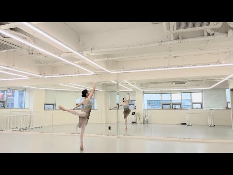 비디오 12