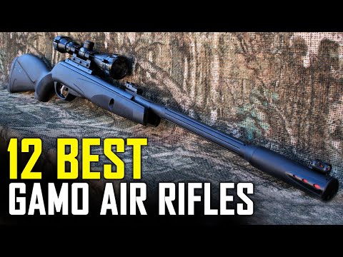12 Best Gamo Air Rifles For Hunting 2021 - Top 12 Best Gamo Air Rifles