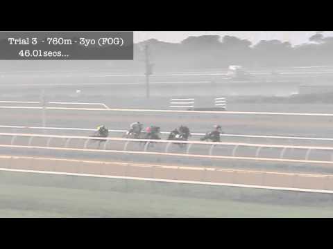 10th June 2014   Trial 3