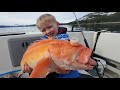 3 Days Camping in Alaska & Eating What We Catch - Shrimp, Rock Fishing and Halibut Catch & Cook
