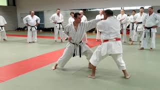 stage bunkai pierre brunet