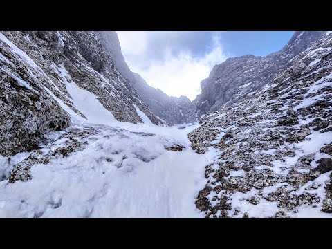 Albisoara Gemenelor (partial)