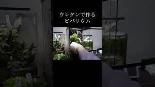 ウレタンのビバリウムの作り方│VIVARIUM #shrots