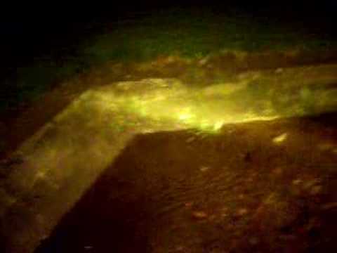 More drunken madness